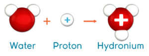 Acids and Bases: The Voyage of the Proton - Annenberg Learner