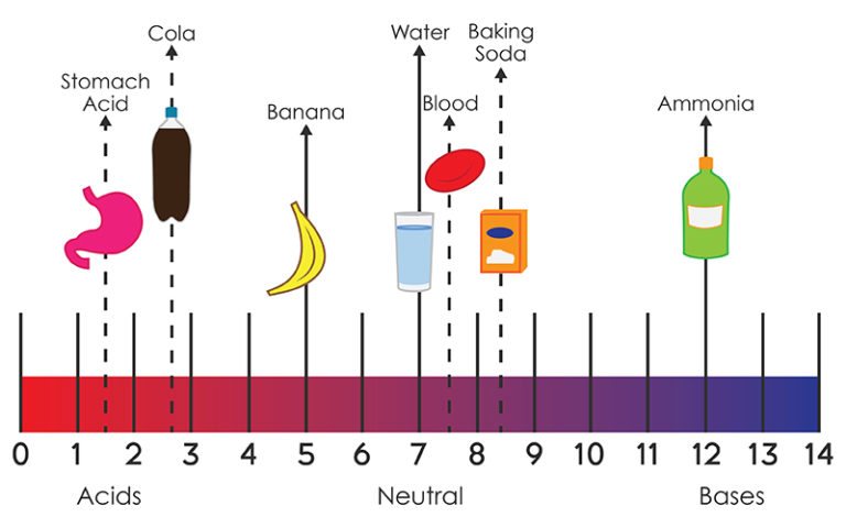 Acids And Bases: The Voyage Of The Proton - Annenberg Learner