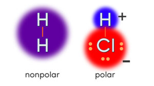 Making Molecules: Lewis Structures and Molecular Geometries - Annenberg ...