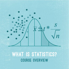 What is Statistics?, Against All Odds: Unit 1