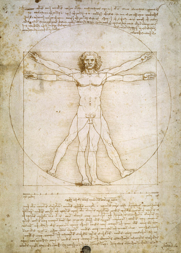 Art: Vitruvian Man - Annenberg Learner